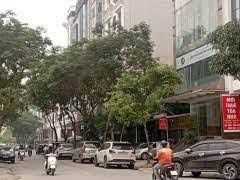 Bán khách sạn tại 9 tầng Cầu Giấy, 300m²  nhà 2 mặt đường Dòng tiền ổn định - Ảnh 2